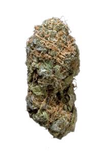 Buddha's Hand - Hybrid Cannabis Strain by Hytiva Buddha's Hand - Hybrid Cannabis Strain